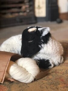 432951121_384123641052328_2656404928932191701_n