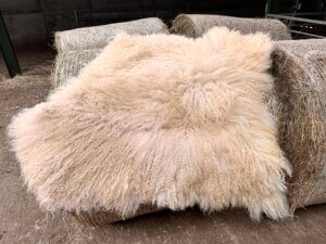 434196313_419552380885842_5506664257977100033_n