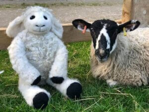 434201054_782691693769958_3567086592833093180_n