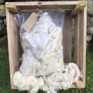 Masham Washed Fleece