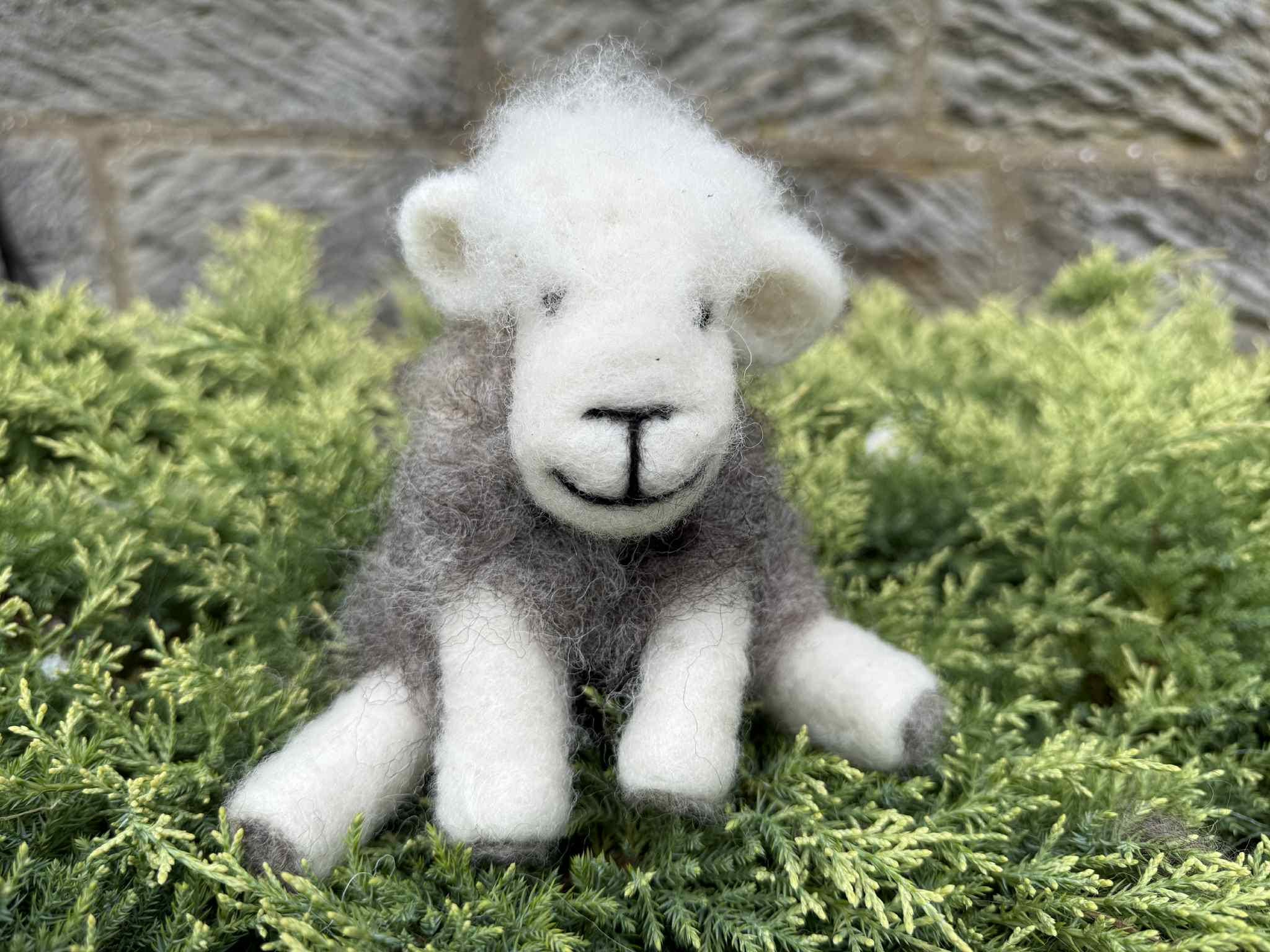 il_fullxfull.7178742217_4h4j