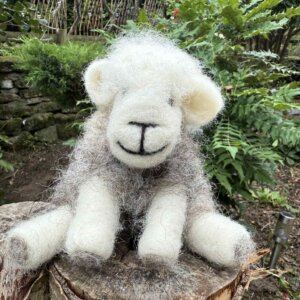 Mini Herdwick Sheep