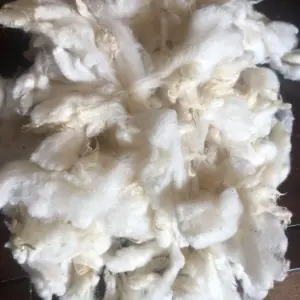 Ethical Fleece/Wool