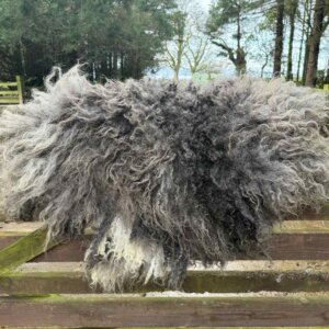 Black nose valais Rug