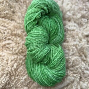 Hand Dyed DK Wool Fern