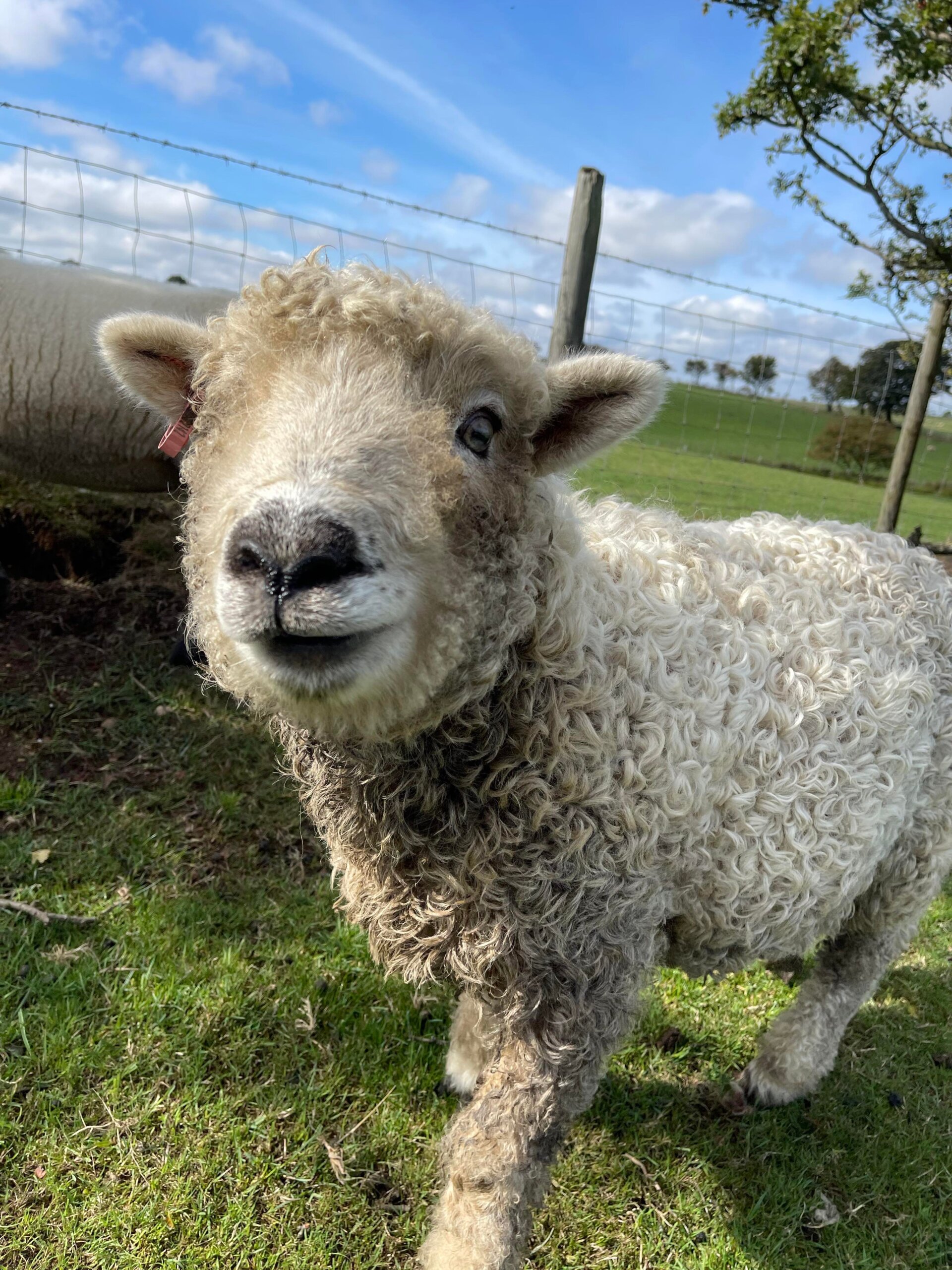 335430920_751229166401793_6840788447246467315_n