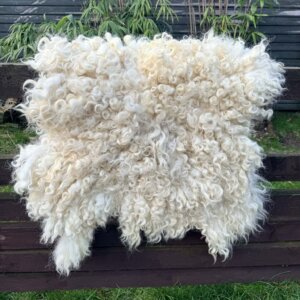 Dom Greyface Rug Last1