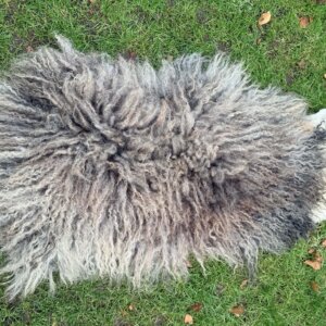 Barry Blacknose Rug 2