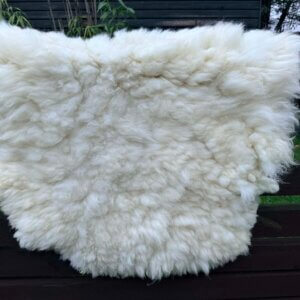 Chewy The Texel Rug