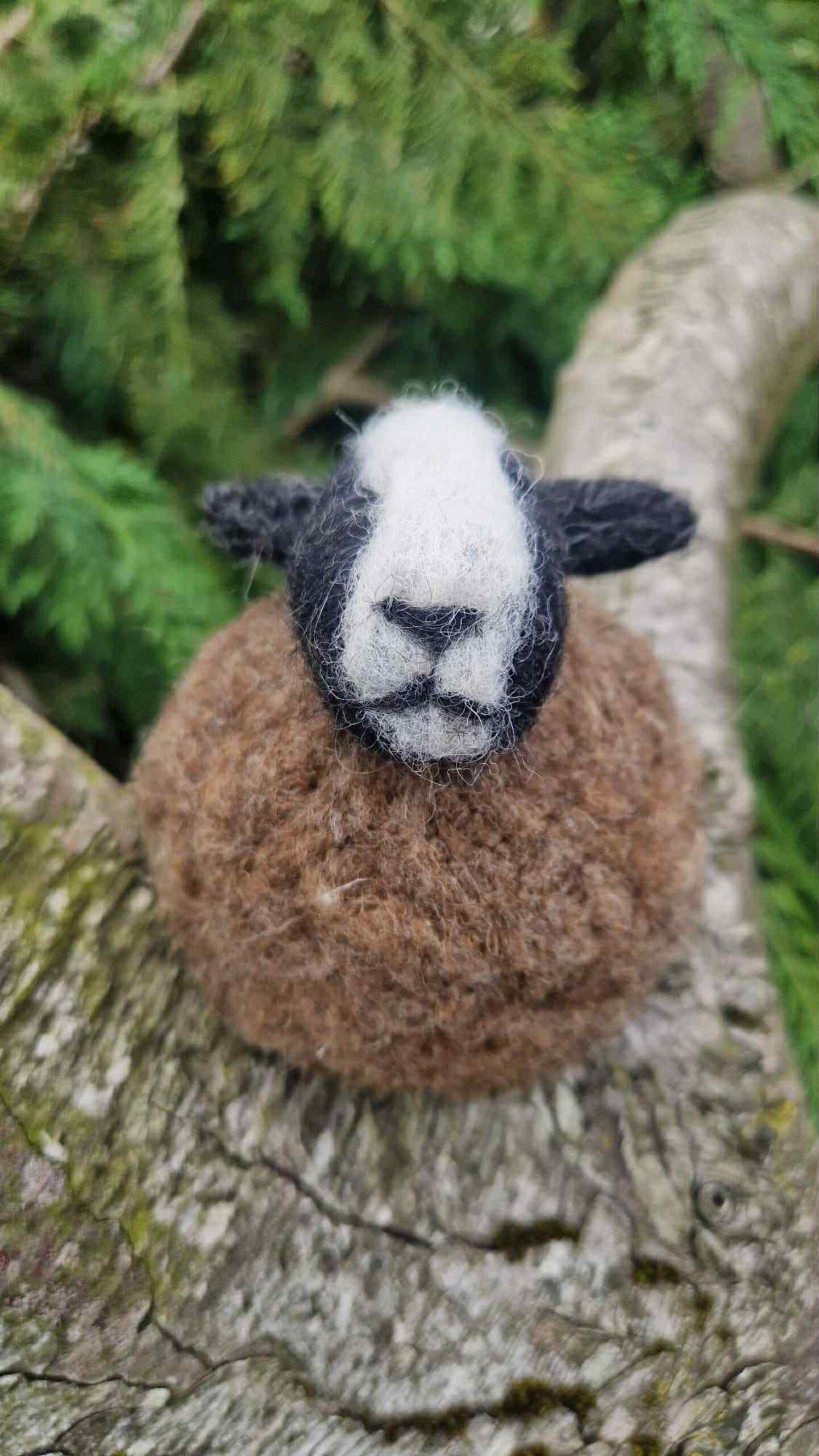 il_1588xN.7157773648_c1qp