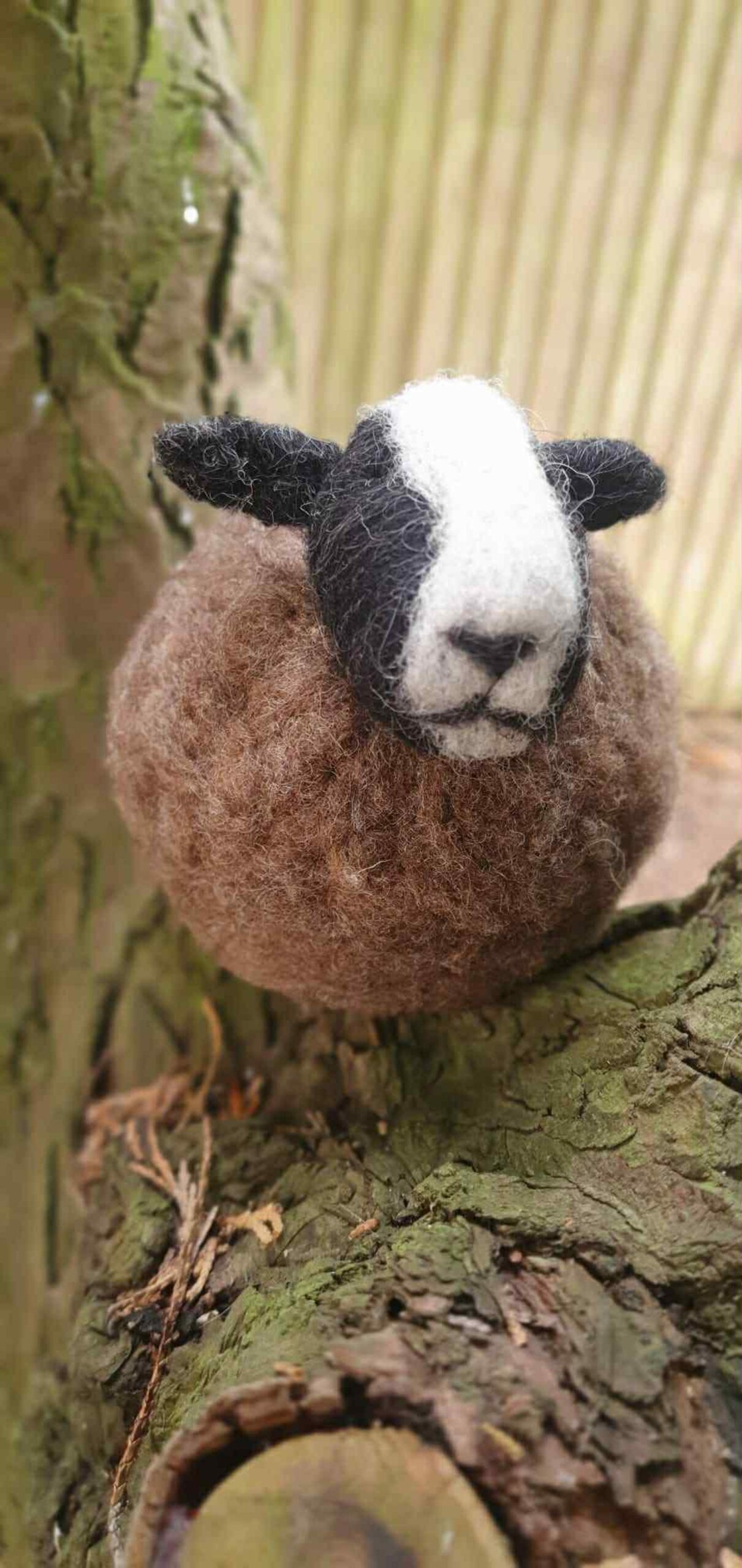 il_1588xN.7205765035_4xxv