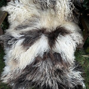Matilda Amazing Rug