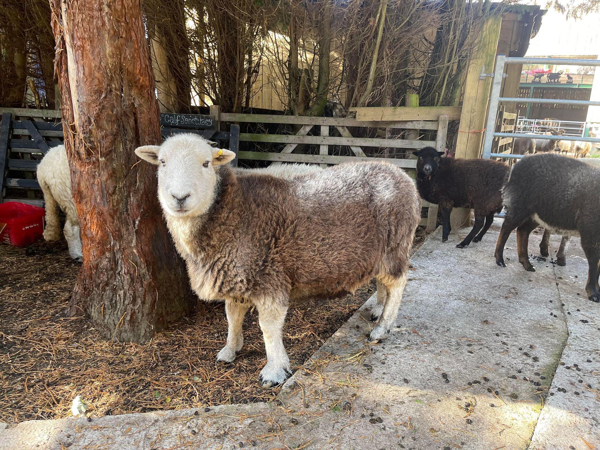 il_fullxfull.7132144898_ok0y