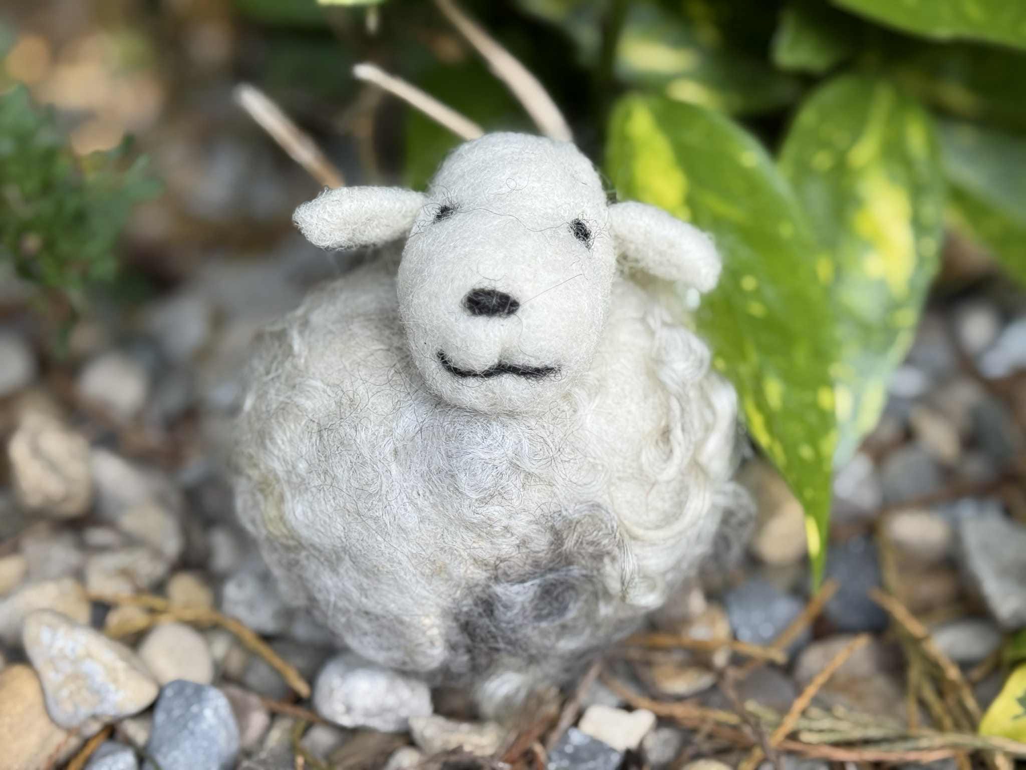 il_fullxfull.7132169752_6lmi