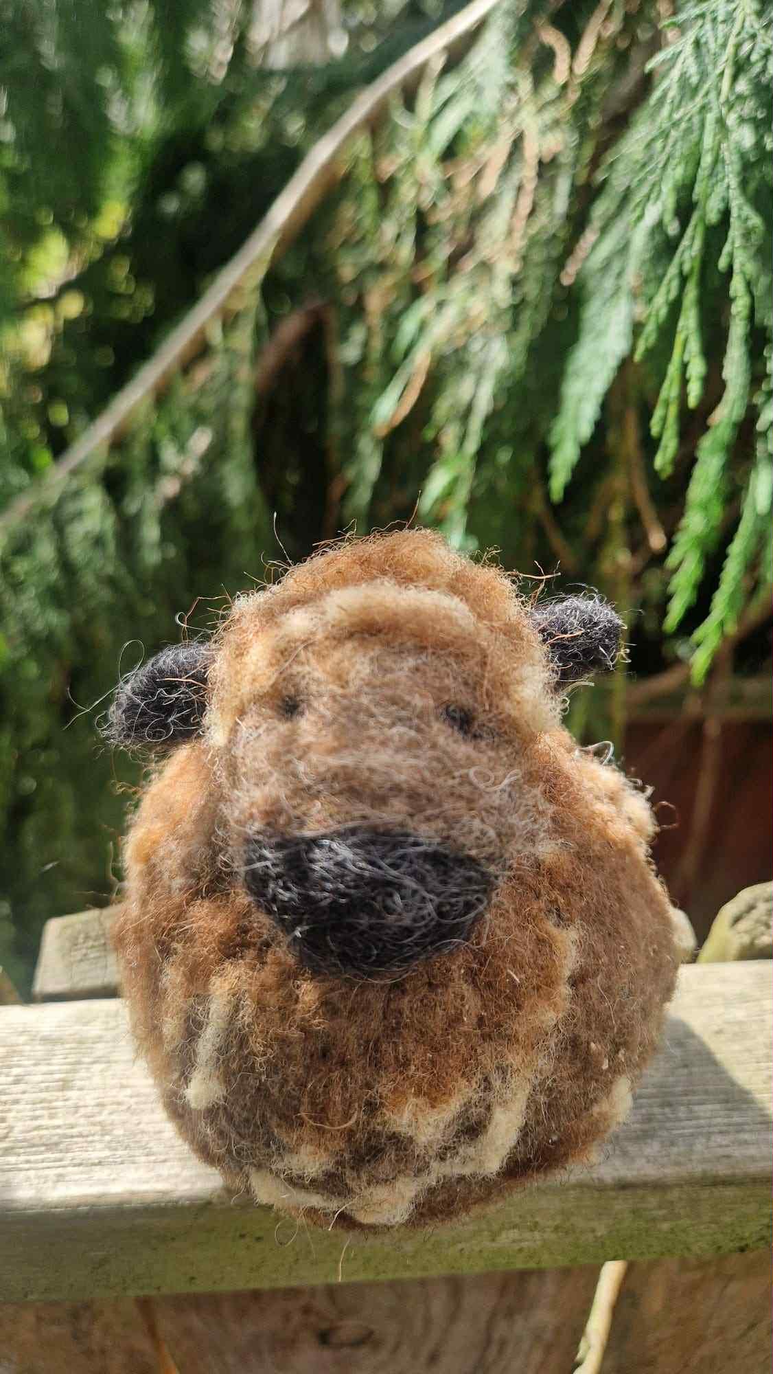 il_fullxfull.7157793548_ah5v