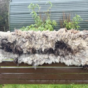 Jacob Long Runner Rug