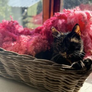 Colourful Fleece Pink 400g