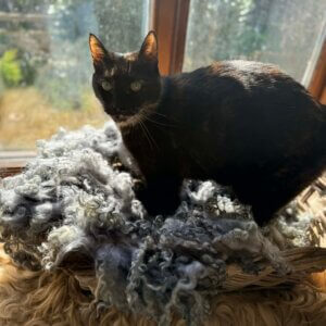 Colourful Fleece Grey 400g