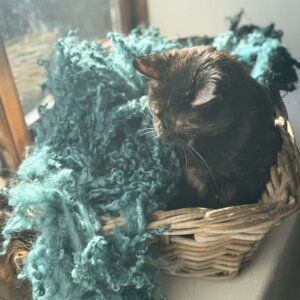 Colourful Fleece Jade Green 400g