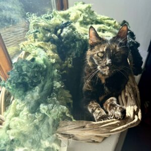 Colourful Fleece greens 400g