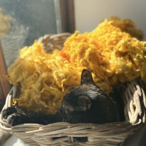 Colourful Fleece Golden yellow 400g