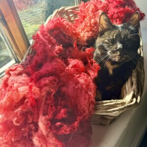 Colourful Fleece Red 400g